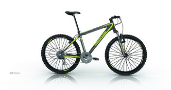 自行車貼花設(shè)計(jì)