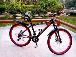 自行車尺寸解讀 XS、S、M、L 的意義及其在電動自行車制造中的應用